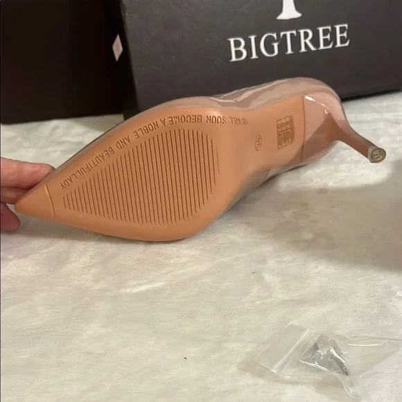 NWOT Blush Stiletto Heels with Glossy Finish and Pointed Toe - Picture 5 of 8